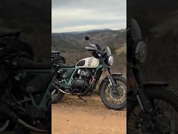 Slow Ride Bear 650