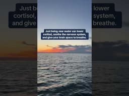 Researchers have been churning out data that shows how being near water changes our biomarkers