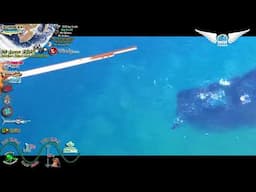 So Many SHARKS and SARDINES by WOW Aerial At Scottburgh #sardinerun2025