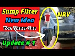 Aquarium Sump Design You Never Saw | Modified sump filter Model Update 1 |  umair saeed | Urdu P2/2