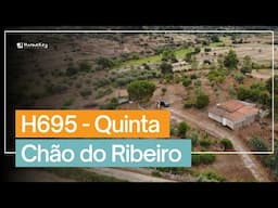🏡 Farm 9000 m2 with Water Abundance and Fruit Trees – H695 Quinta Chão do Ribeiro – €40,000