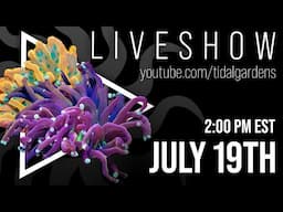 Tidal Gardens July 2025 Live Show