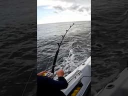 The lengths we got to to film fish forever