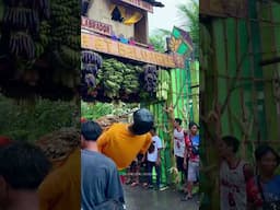 ARAÑAT BALUARTE FESTIVAL 2025 #TravelPhilippines #shorts #quezonprovince