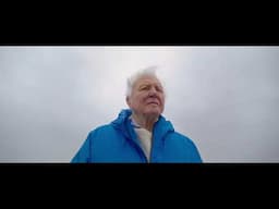 Ocean with David Attenborough (🎵 ONE WORLD)