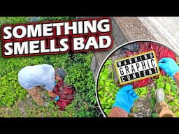 I Found Something DISTURBING Thrown Off The Bridge!