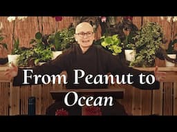 Growing a Heart as Vast as the Ocean | Sr. Dao Nghiem