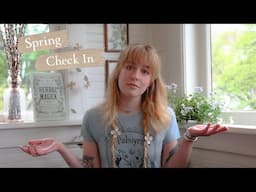 Cozy Spring Check in | What I've Been up to, Crafts, Ideas, Nature, and More