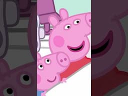 Baby Curiousity!! #PeppaPig #Shorts