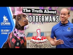 1 Year With a Doberman—What They NEVER Tell You | Dobie Masters (S1E15)