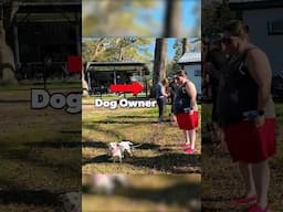 Teaching Engagement to Dog Owners #dogs