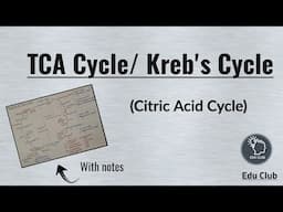 TCA Cycle | Krebs Cycle | Anaplerotic Reactions || Carbohydrate metabolism || Biochemistry