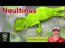 Naultinus - New Zealand Dream Gecko, Interview with Jonathan Leming
