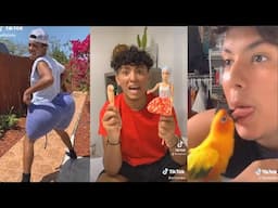 [1 HOUR] The Best Willy Tube TikTok Compilation | Funny Willy Tube Videos
