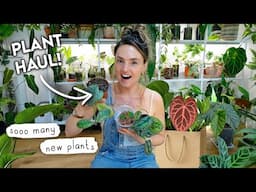 HUGE Houseplant Haul 🌱 Plants I Got From RHS Malvern Spring Festival