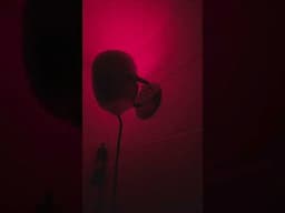 Darkroom Intro  #art #diy #darkroom #largeformat #8x10film