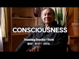 Ultimate Truth - Our Purpose on Earth