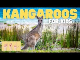ASL Kangaroos for Kids