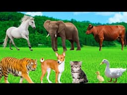 Familiar Animal Features - Elephant, Dog, Horse, Tiger, Cow, Duck - Fun Animals