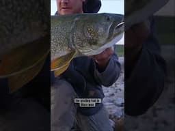 I Caught this Giant Lake Trout While on a Canoe Trip in the Arctic
