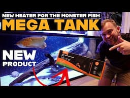 800w HYGGER HEATER | WOULD I TRUST THIS BRAND?