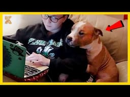 🐕😂When Your Dog is the Real Stand up Comedian!
