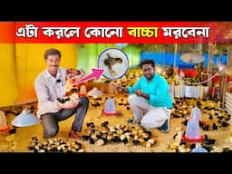 এটা করলে কোন বাচ্চা মরবে না | Desi Murgi Farming | Chicken Farm | Chicken Vaccine | মুরগির খামার