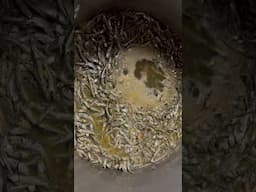煮干しのエグ味を抑えながらポテンシャルを出し切る火加減がこちら