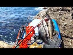 Rockfish w/ Fisherman's Life! How to Spearfish Vol. 25