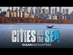 Ocean Encounters: Cities and the Sea