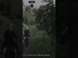 How Not to Drive a Wagon Red Dead 2 Online