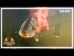 Winter River Fishing | Minnesota Bound