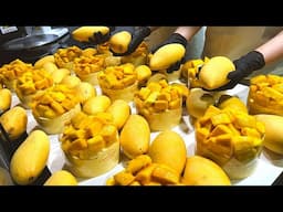 MANGO OVERLOAD! Korea’s Gold Mango Cake That Sells Out Instantly 망고시루 안부러운 비주얼! 대전 안 가고도 즐기는 망고케이크