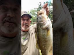 Caught the monster bass after a year of chasing him. #bass #fishing #farmlife