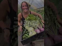 Buy more land, waste money on seeds, treat my garden like a hobby 🫣 #gardening #garden