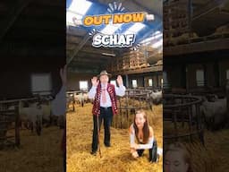 !OUT NOW! #Schaf von Schäfer Heinrich🐑🥳