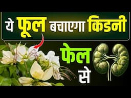 ये जड़ीबूटी बचाएगी किडनी फेल से | Ayurvedic Medicine for Kidney | Kidney Treatment