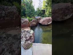 Feeling Good In The Water Garden Capital Of The World!! #shorts