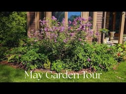 End of May Garden Tour In Minnesota, Zone 4b/5a 🌷🌱🍃
