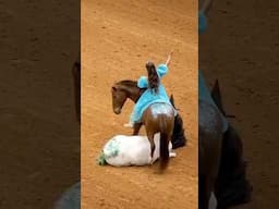 low quality video, high quality horses, wicked freestyle highlights #horsetraining