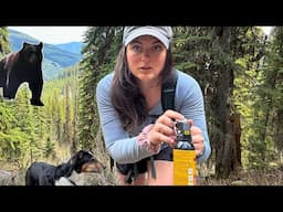 Alone With Bears at My Remote Cabin