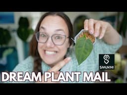 Dream wishlist unboxing with update | Plant with Roos
