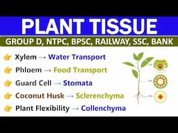 TISSUE | उत्तक | TISSUE GK BIOLOGY | BIOLOGY GK MCQS | SCIENCE GK | EXPECTED BIOLOGY GK MCQS |