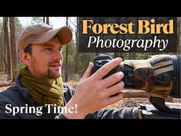 Bird Photography in the Forest: Unexpected Finds and a Taste of Spring | Nikon Z9