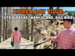 KOREA DAY TOUR: Cute Alpacas, Nami Island, Rail Bike
