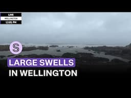LIVE: Large swells hit Wellington's south coast