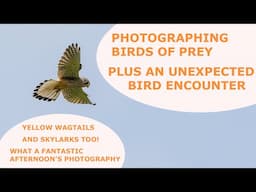 PHOTOGRAPHING BIRDS OF PREY-PLUS AN UNEXPECTED BIRD ENCOUNTER