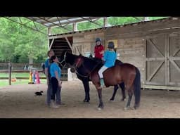 Therapeutic Riding of Tuscaloosa changes lives bit by bit