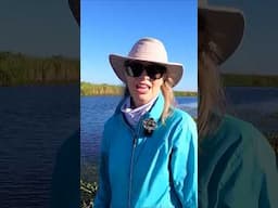 Live Bait | MOTV Moments