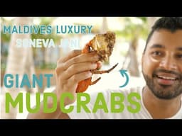 Maldives MUD CRAB FEAST at Soneva Jani \ FULL TOUR part 2